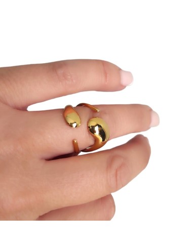 ANILLO DELFÍN