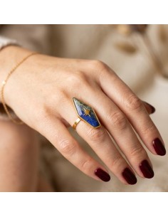 ANILLO ÁRTICO DE L COFRE DE ELISABETH