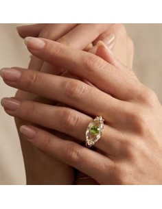 ANILLO WIEW DE EL COFRE DE ELISABETH