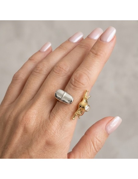 ANILLO SCOOTER DE EL COFRE DE ELISABETH