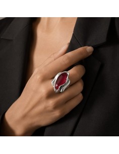 ANILLO ALEXIA